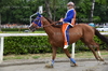 Immagine <b>REG_9236</b>